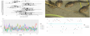 Tadpoles on TensorFlow: Hierarchical partial pooling with tfprobability