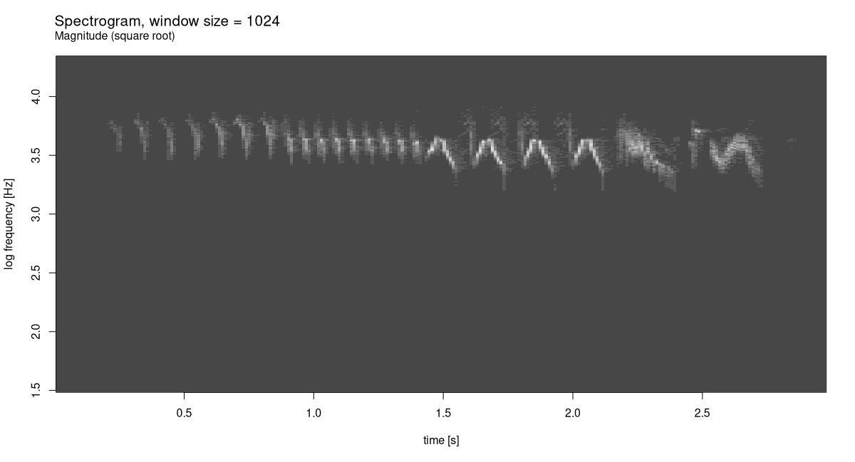 Figure 8: Chaffinch’s song, spectrogram.
