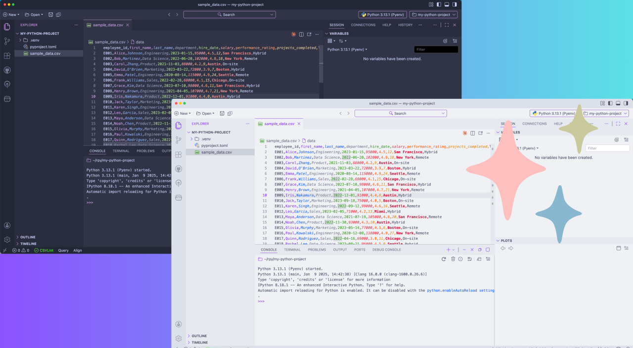 Screenshot of Positron IDE with custom extensions and themes
