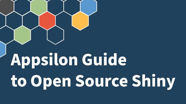 Dominik Krzemiński | Appsilon's Guide to Working With Open Source Shiny | RStudio