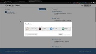 Launch different development environments and manage cluster options with Posit Workbench