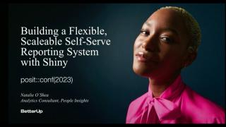 Building a Flexible, Scaleable Self-Serve Reporting System with Shiny - posit::conf(2023)