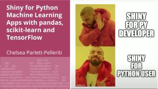 Shiny for Python Machine Learning Apps with pandas, scikit-learn and TensorFlow - posit::conf(2023)